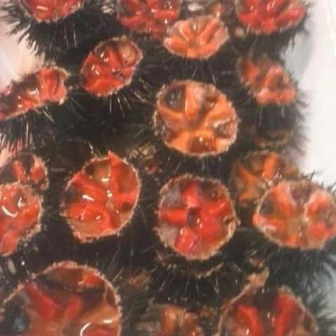 Dal Pescatore Appartamenti Savelletri Esterno foto